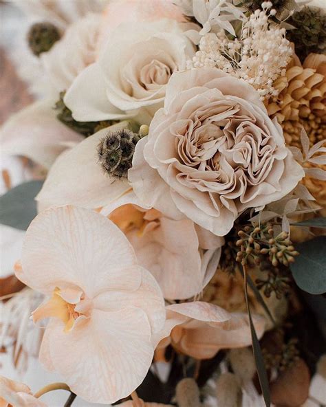 Carolin Ritter Wedding Planner Auf Instagram Unpaid Ad Autumn Vibes