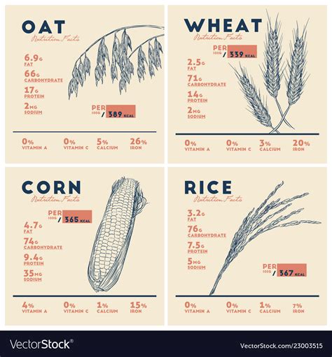 Difference Between Oats And Wheat