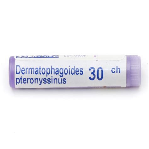 Dermatophagoides Pteronyssinus En Doses Boiron Homéopathie Allergie