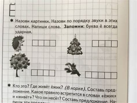 Книга: Учим звуки, пишем буквы. Для детей 5-7 лет - Созонова, Куцина ...