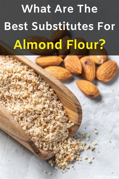 Best Almond Flour Alternatives For Your Baking And Dessert Recipes