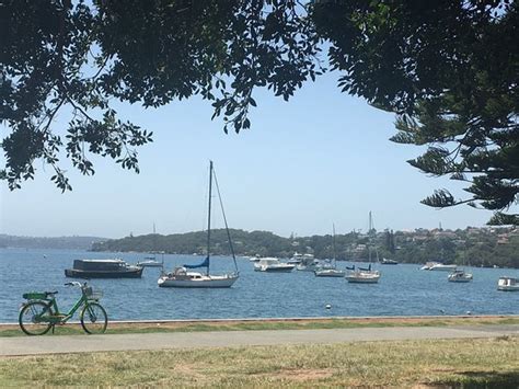 Rose Bay Beach - 2020 All You Need to Know BEFORE You Go (with Photos ...