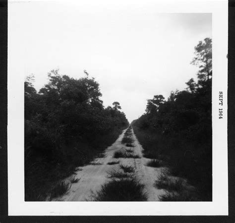 Hofmann Forest General Views