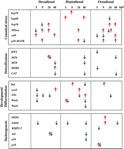 Synopsis Of Dose Dependent Gene Expression Of Genes Analyzed Patterns