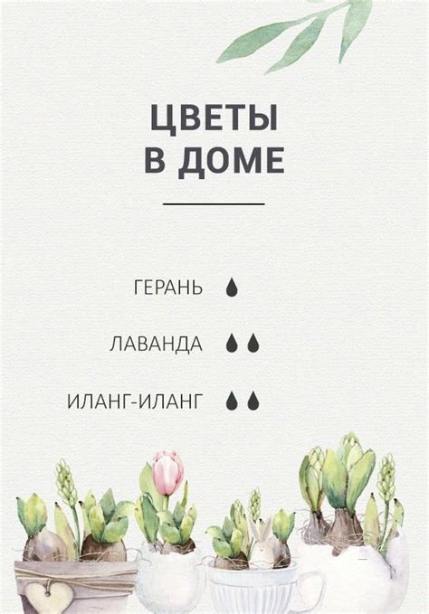 Пин от пользователя Светлана на доске Ароматерапия в 2024 г | Ароматы ...