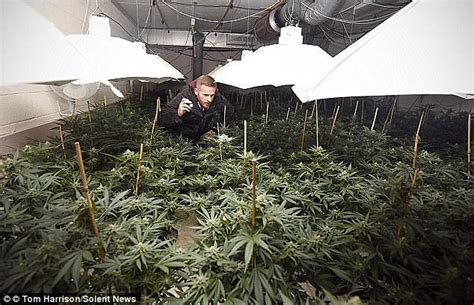 Men Who Converted Nuclear Bunker Into Cannabis Farm Jailed Daily Mail