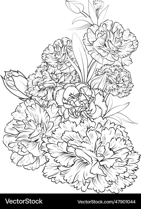 Carnation january birth flower tattoo drawings Vector Image