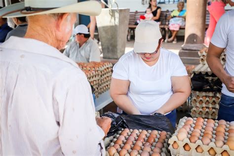 Alza De Precios En Huevos Insta A Denunciar La Superintendencia De