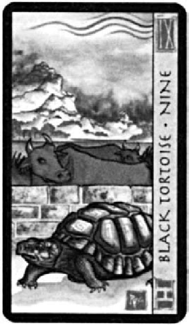 Black Tortoises Replace Wands In The Feng Shui Tarot Of Eileen And