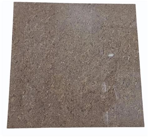 Polished Ceramic Brown Plain Floor Tiles Size 2x2 Feet 600x600 Mm At