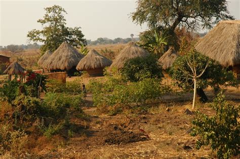 zambia landscape marie france grenouillet wildlife