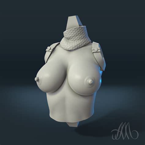 STL File DETAIL WITH A NAKED BODY FOR STORMTROOPER GIRL MODEL 3D