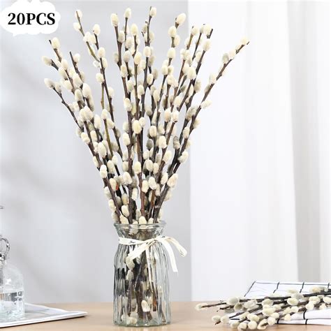 20Pcs Natural Preserved Dried Pussy Willow Branches For Vases 15 7 Stems Real Willows Snow