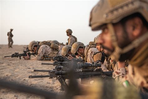 DVIDS - Images - U.S. Marines and UAE Soldiers Conduct Claymore ...