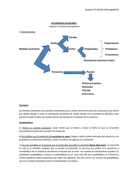 Las Medidas Cautelares Medidas Prejudiciales Las Medidas Cautelares