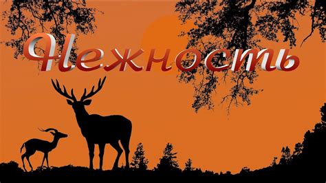 🌟Нежность … очень сложно описать словами! 🌟 Классное видео от Женского ...
