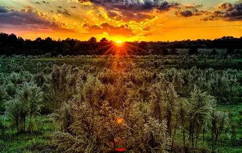 Sun Setting Over Country Farm Land In York South Carolina Photograph By