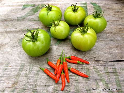 Luke Nguyen S Vietnamese Green Tomato Salad Tomato Farming Fusion Food