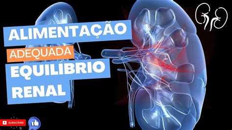 Alimentos para Melhorar a Função Renal Dr Prof Nelson Marques YouTube