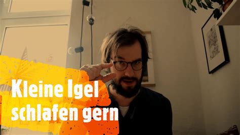 Kleine Igel Schlafen Gern Kindergedichte Mit Bestzeller Youtube