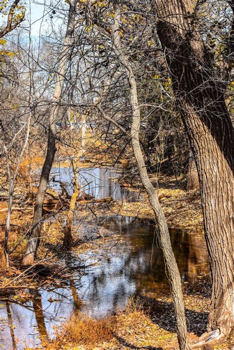 Martin Nature Park In The Fall Stock Photo Image Of Fall Nature