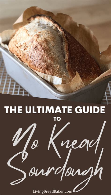 The Ultimate Guide To No Knead Sourdough Living Bread Baker