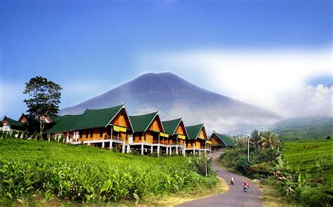 Colors Of Life Gunung Dempo Sumatra Selatan