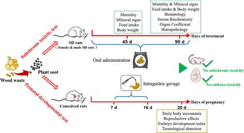 Frontiers Identification Of Plant Soot As Novel Safe Feed Additive