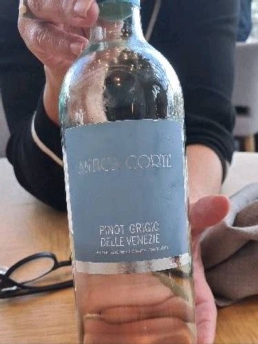 Antica Corte Pinot Grigio Delle Venezie Vivino Australia