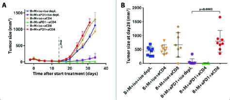 Synergy Of Targeted Therapy With Anti Pd 1 Is Dependent On The Presence