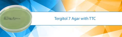 Tergitol Agar With Ttc For Detection Of Gram Negative Bacteria