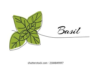 Continuous One Line Drawing Basil Modern Stock Vector (Royalty Free ...