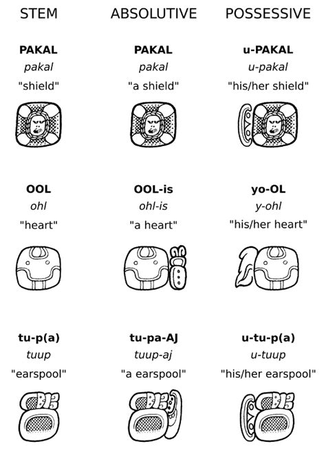 Maya Writing System And Hieroglyphic Script Ks2 Maya Archaeologist