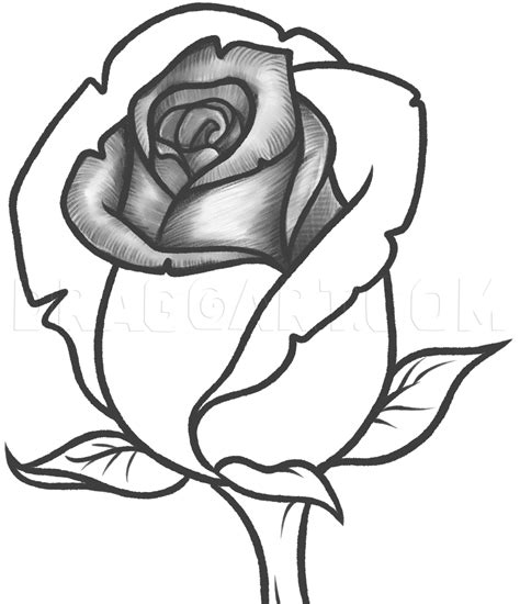 How To Draw A Rose Bud Rose Bud Step By Step Drawing Guide By Dawn