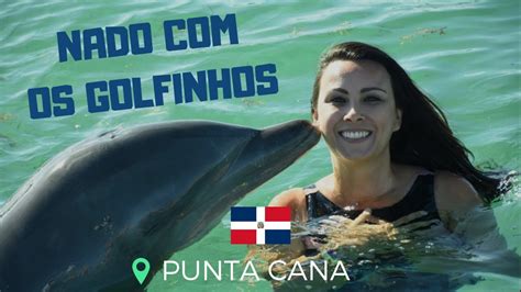 Nadando Os Golfinhos Punta Cana Dolphin Island Park YouTube