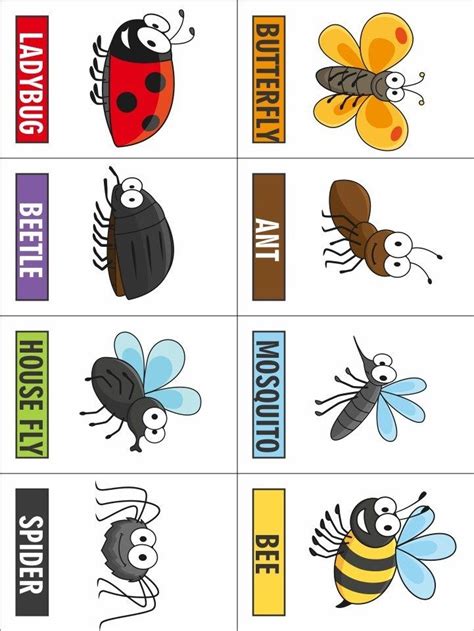 Free Printable Insect Activities