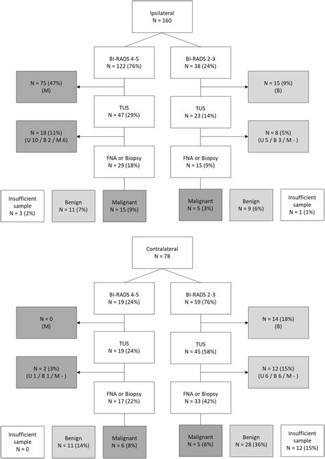 Flowchart Of Diagnostics In Mri Detected Additional Lesions By Location