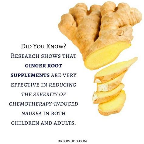 Ginger Helps Chemo Nausea Natural Herbal Remedies Chemo Nausea How To Help Nausea