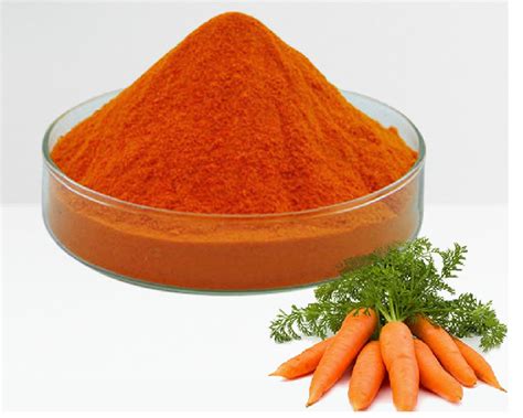 Dehydrated Carrot Powder Packaging Type Loose At Rs Kg In Pune