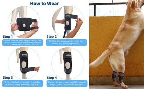 Jocund Dog Leg Braces For Back Leg Dog Knee Brace For