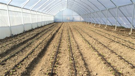 Growing Organic Crops In Greenhouses Net Houses And Tunnels Azrom