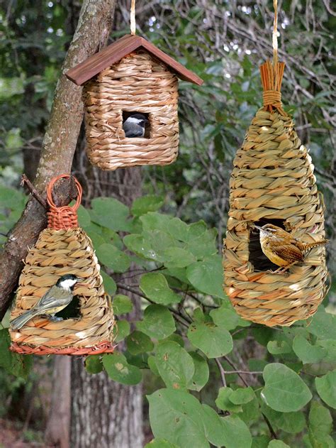 Finch Bird Houses Let's Get it Right | Birdcage Design Ideas