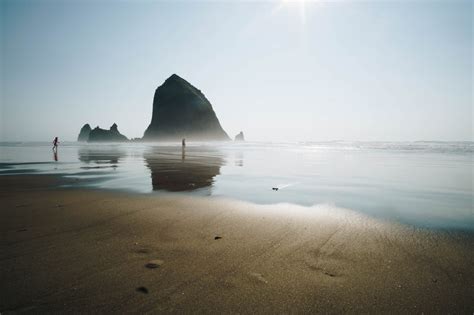 8 Beautiful Beaches Worth Visiting In The Pacific Northwest The Fox