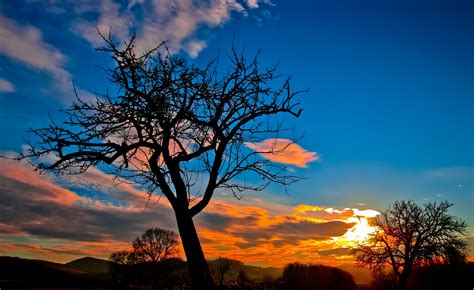 Fotos Gratis Cielo Naturaleza Rbol Paisaje Natural Resplandor