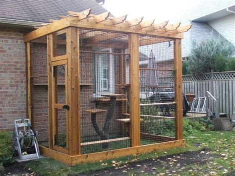 Safety Outdoors Cat Enclosures And Cages Purrfect Love