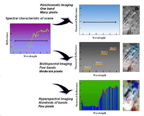 Comparison Of Spectral And Spatial Properties Of Panchromatic Download Scientific Diagram