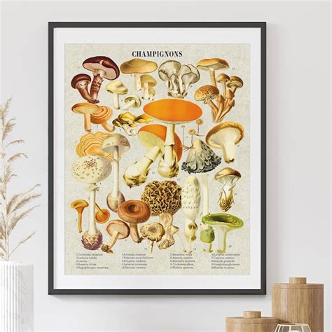 Vintage Mushroom Art Etsy