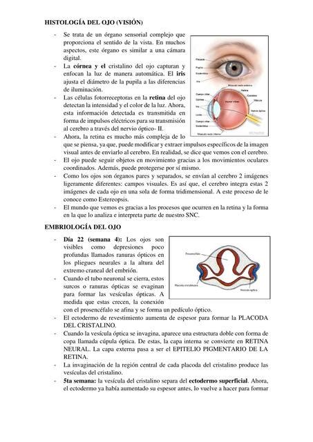 Histología del Ojo JENNIFER LUCIA VALLE NAVARRO uDocz