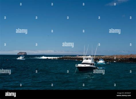 North Seymour Island Galapagos Islands Ecuador Stock Photo Alamy