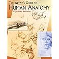 The Artist S Guide To Human Anatomy Dover Anatomy For Artists Bammes